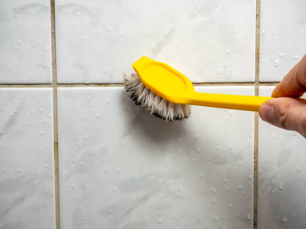 Best Mold Remediation Experts  in Ivanhoe, TX