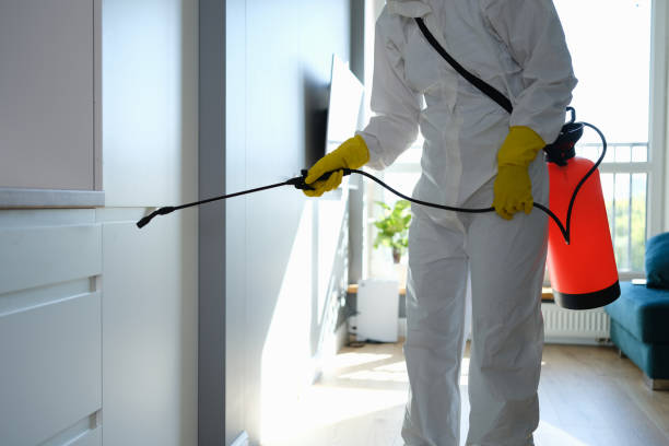 Best Certified Mold Removal  in Ivanhoe, TX