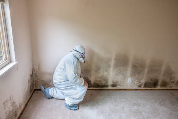 Best Emergency Mold Removal  in Ivanhoe, TX