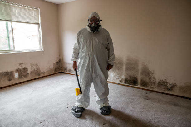 Best Home Mold Removal  in Ivanhoe, TX